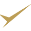 Divisor Logo Gold